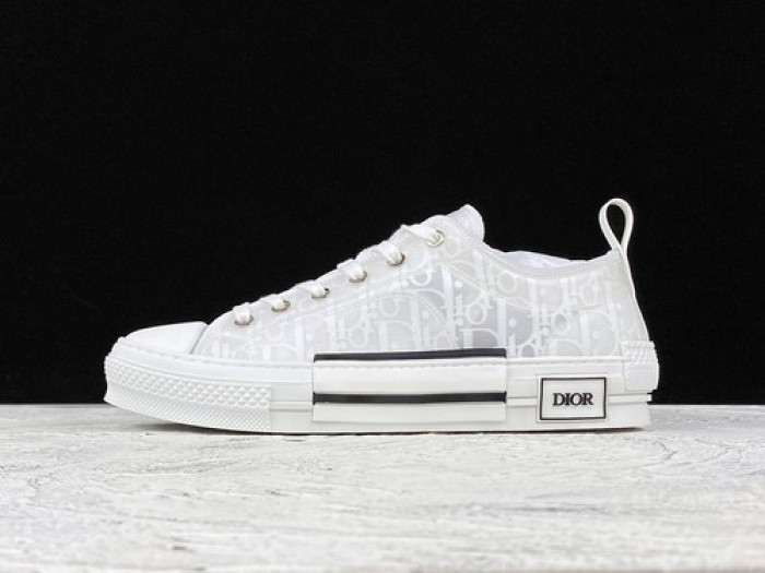 D10R B23  Homme Kaws Low Top Sneaker